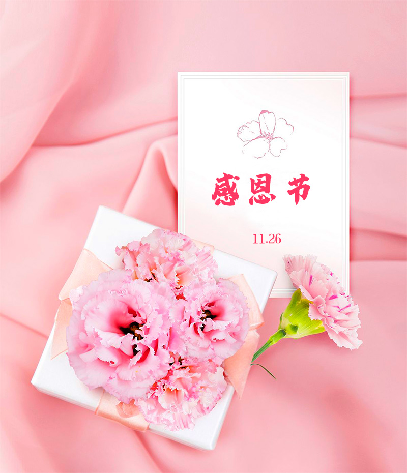 Thanksgiving Day谢谢有你